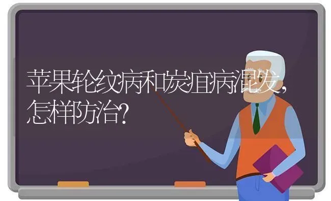 苹果轮纹病和炭疽病混发，怎样防治？ | 瓜果种植