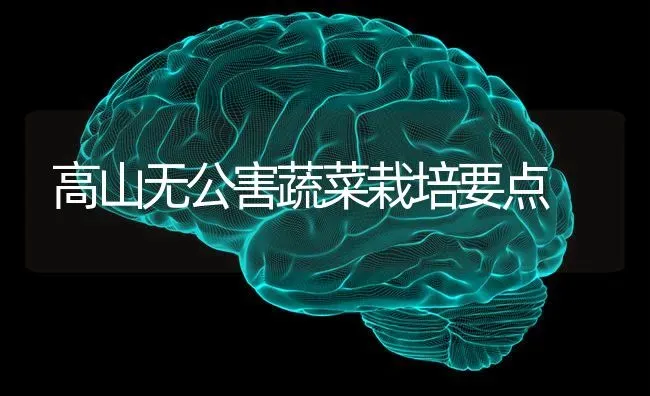 高山无公害蔬菜栽培要点 | 蔬菜种植