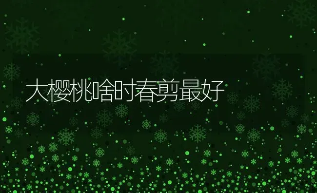 大樱桃啥时春剪最好 | 瓜果种植