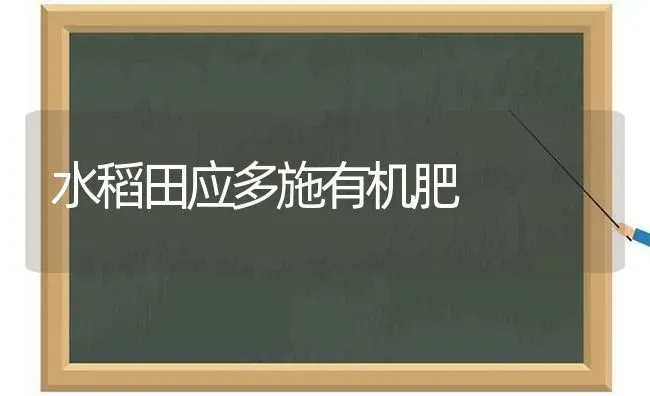 水稻田应多施有机肥 | 粮油作物种植