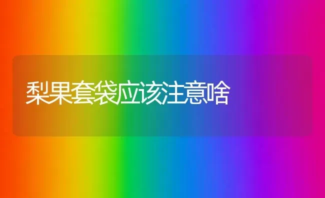 梨果套袋应该注意啥 | 瓜果种植