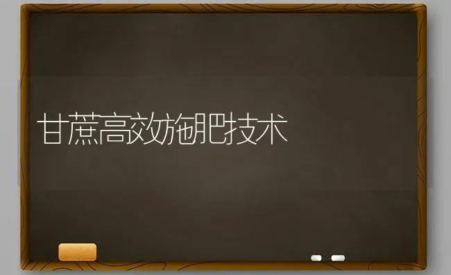 甘蔗高效施肥技术 | 种植肥料施肥