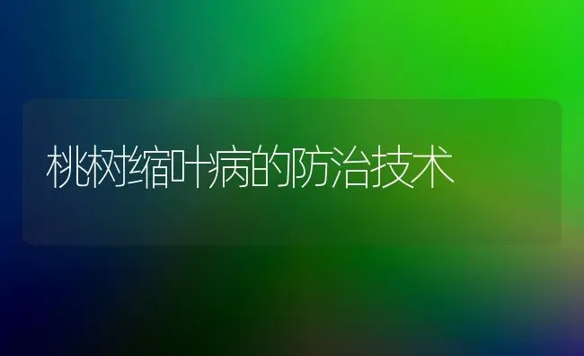 桃树缩叶病的防治技术 | 瓜果种植