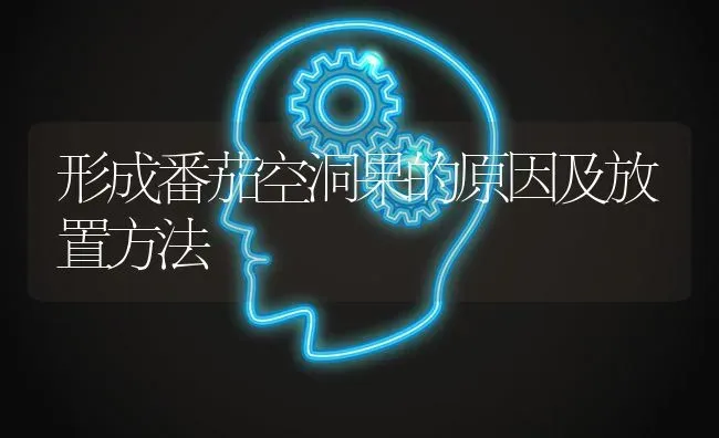 形成番茄空洞果的原因及放置方法 | 瓜果种植