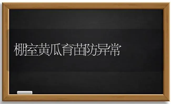 棚室黄瓜育苗防异常 | 蔬菜种植
