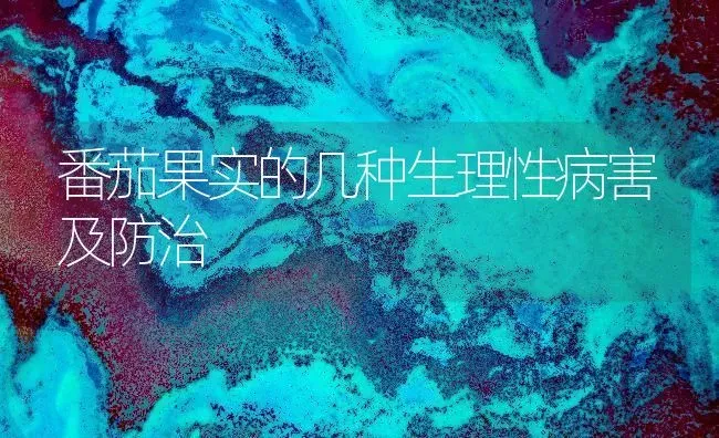 番茄果实的几种生理性病害及防治 | 瓜果种植