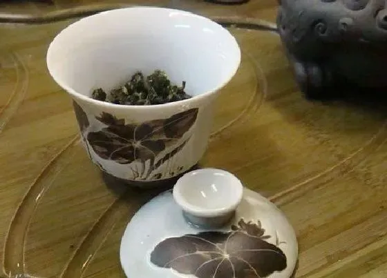 食用常识|永春佛手属于什么茶类型 既然不是红茶也不是绿茶（属乌龙茶）