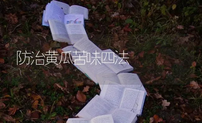 防治黄瓜苦味四法 | 蔬菜种植