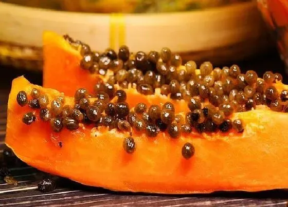 食用须知|木瓜有苦味能吃吗