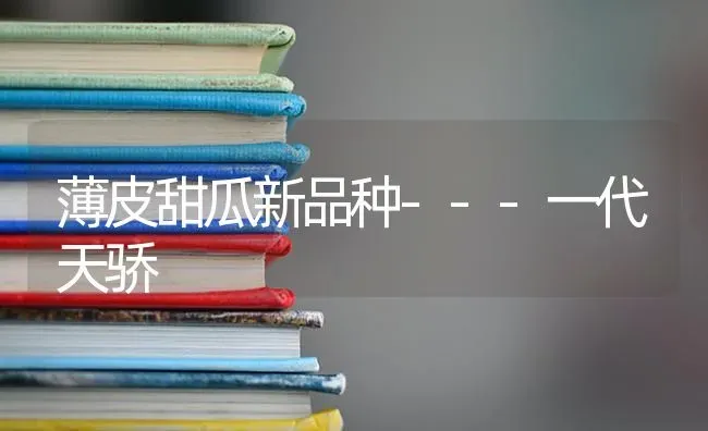 薄皮甜瓜新品种---一代天骄 | 瓜果种植