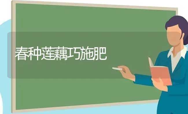 春种莲藕巧施肥 | 种植肥料施肥