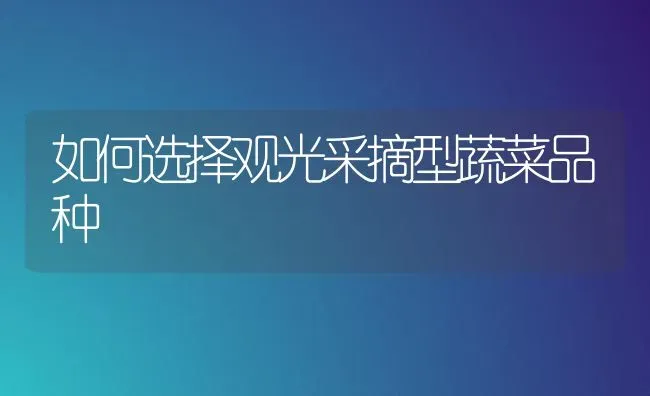 如何选择观光采摘型蔬菜品种 | 蔬菜种植