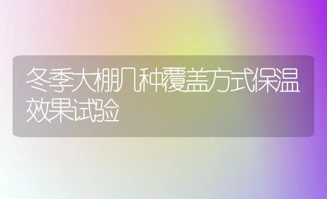 冬季大棚几种覆盖方式保温效果试验 | 瓜果种植