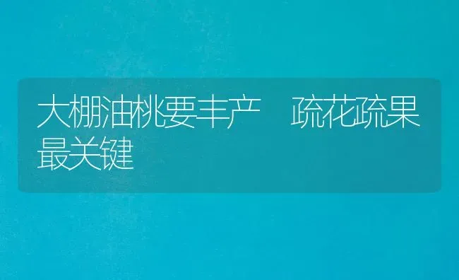 大棚油桃要丰产 疏花疏果最关键 | 瓜果种植