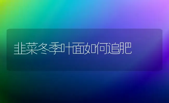 韭菜冬季叶面如何追肥 | 蔬菜种植