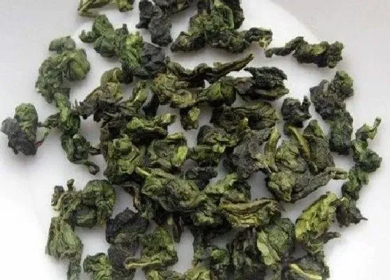 食用常识|永春佛手属于什么茶类型 既然不是红茶也不是绿茶（属乌龙茶）