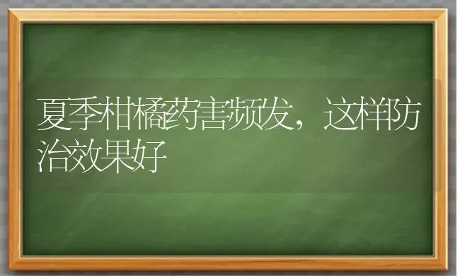 夏季柑橘药害频发，这样防治效果好 | 瓜果种植