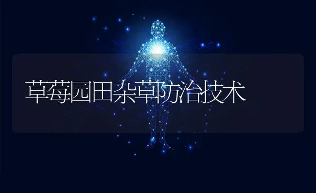 草莓园田杂草防治技术 | 瓜果种植
