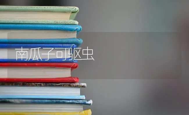 南瓜子可驱虫 | 蔬菜种植