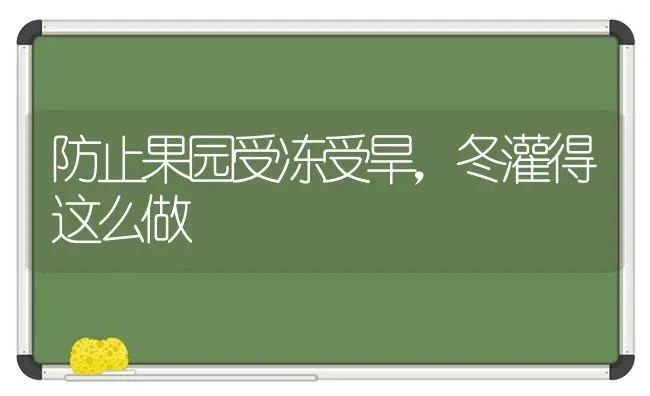 防止果园受冻受旱，冬灌得这么做 | 瓜果种植