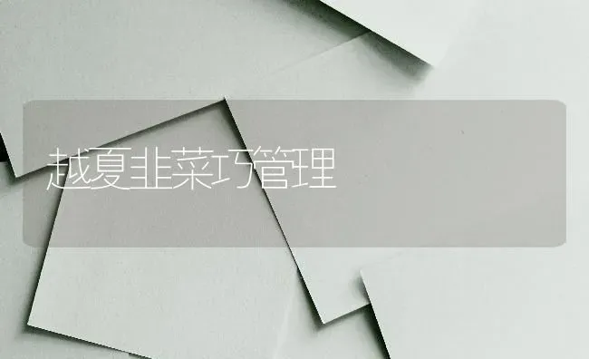 越夏韭菜巧管理 | 蔬菜种植