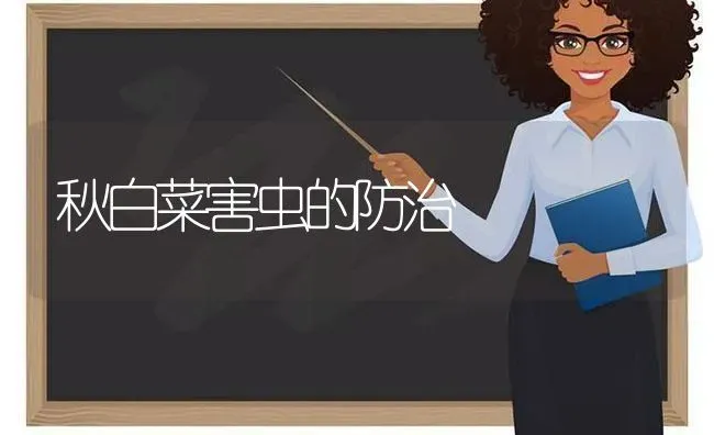 秋白菜害虫的防治 | 蔬菜种植