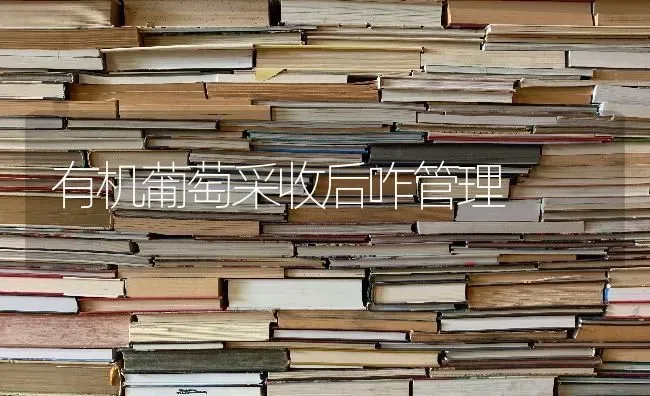 有机葡萄采收后咋管理 | 瓜果种植