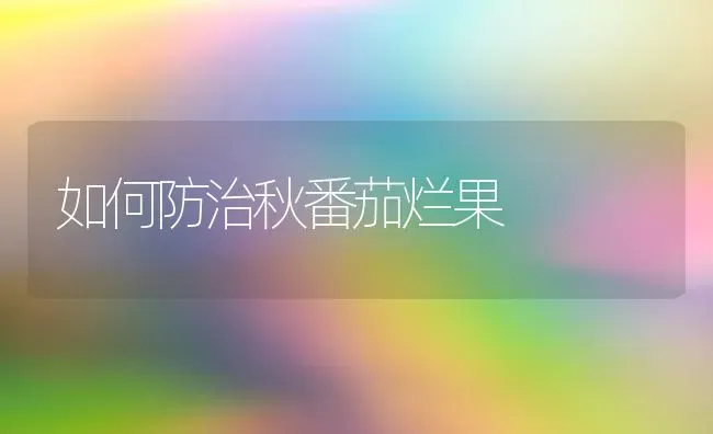 如何防治秋番茄烂果 | 瓜果种植