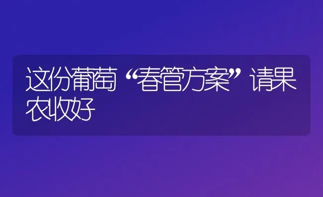 这份葡萄“春管方案”请果农收好 | 瓜果种植