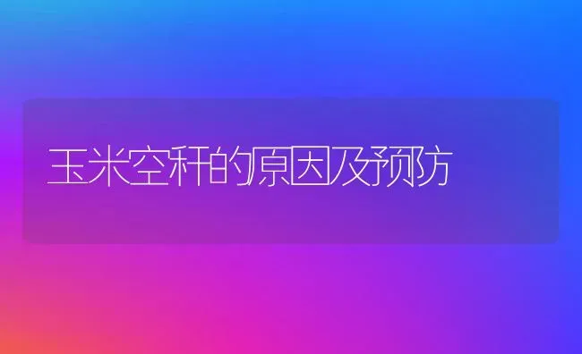 玉米空秆的原因及预防 | 粮油作物种植