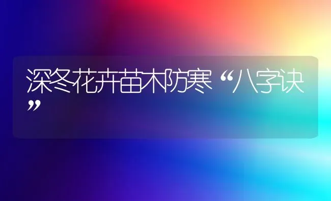 冬瓜的栽培方式 | 蔬菜种植