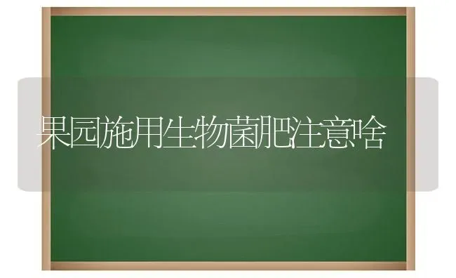 果园施用生物菌肥注意啥 | 瓜果种植