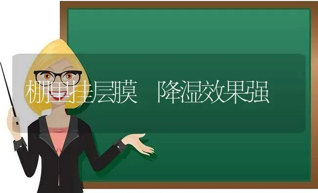 棚里挂层膜 降湿效果强 | 瓜果种植