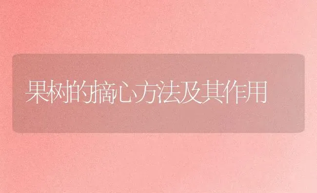 果树的摘心方法及其作用 | 瓜果种植