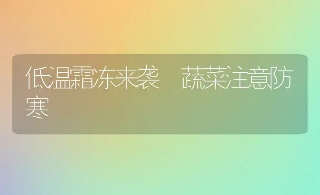 低温霜冻来袭 蔬菜注意防寒 | 蔬菜种植
