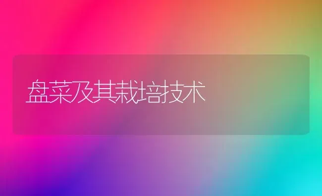 盘菜及其栽培技术 | 蔬菜种植