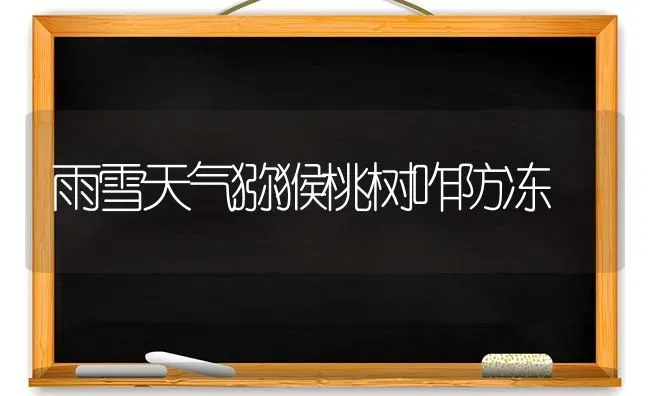 雨雪天气猕猴桃树咋防冻 | 瓜果种植