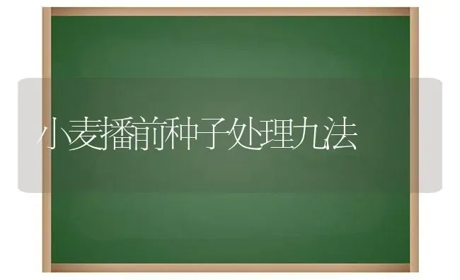 小麦播前种子处理九法 | 粮油作物种植
