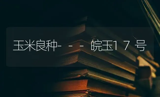 玉米良种---皖玉17号 | 粮油作物种植