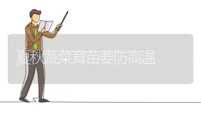夏秋蔬菜育苗要防高温 | 蔬菜种植