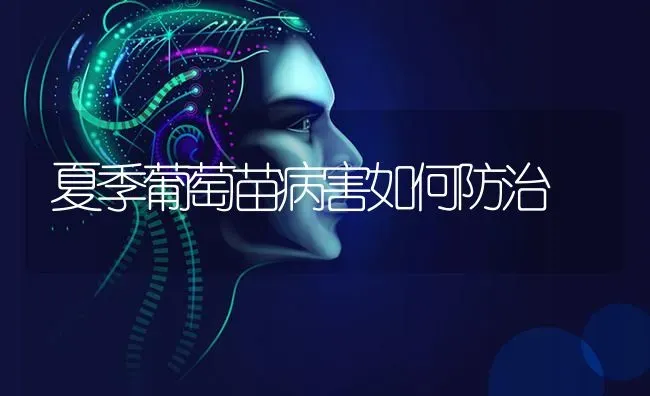 夏季葡萄苗病害如何防治 | 瓜果种植