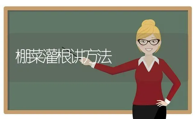 棚菜灌根讲方法 | 蔬菜种植