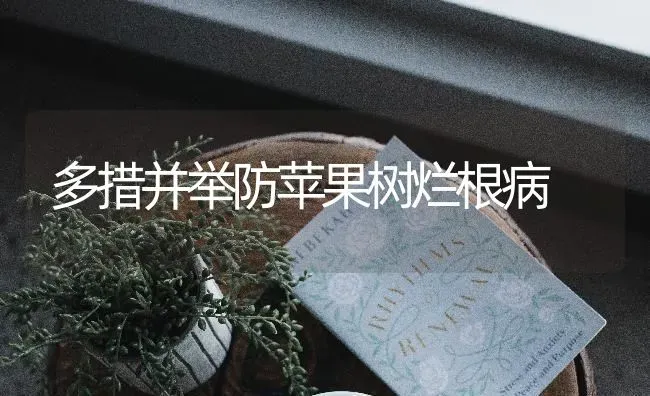 多措并举防苹果树烂根病 | 瓜果种植