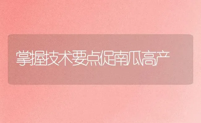 掌握技术要点促南瓜高产 | 蔬菜种植