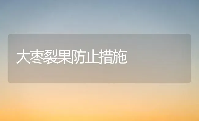 大枣裂果防止措施 | 瓜果种植