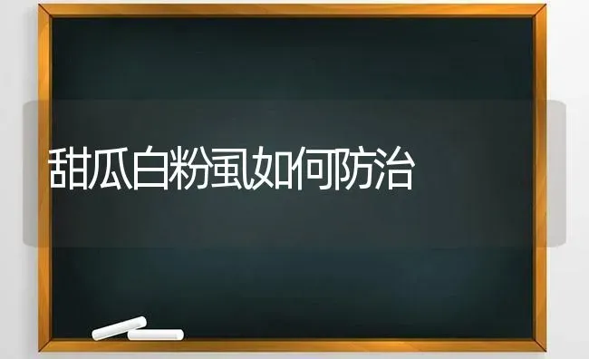 甜瓜白粉虱如何防治 | 瓜果种植