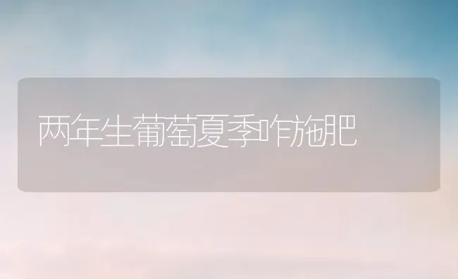 两年生葡萄夏季咋施肥 | 种植肥料施肥