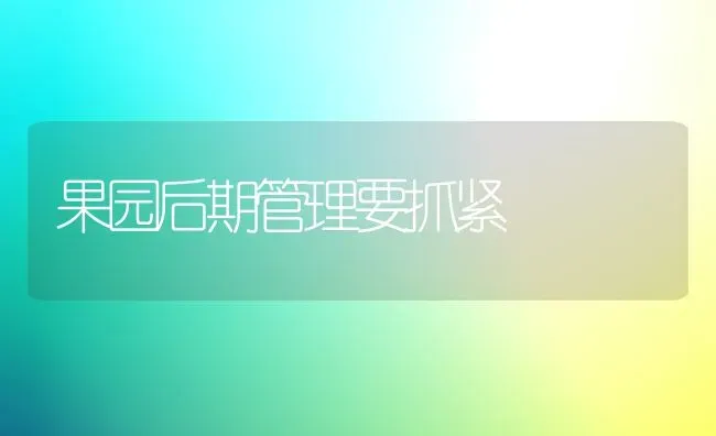 果园后期管理要抓紧 | 瓜果种植