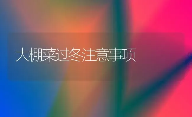 大棚菜过冬注意事项 | 蔬菜种植