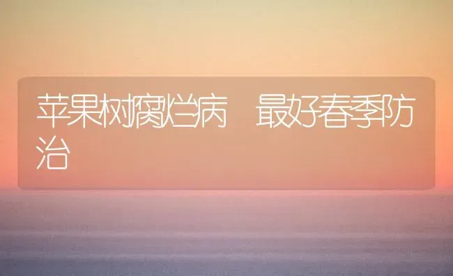 苹果树腐烂病 最好春季防治 | 瓜果种植